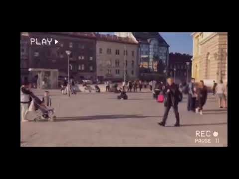 Weszélyes Elemek 2019