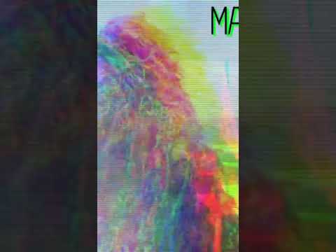 EL NEMBE MARINOT800 🇲🇽🪖☠️⚓ #militar #military #army #ejercito @semarmex