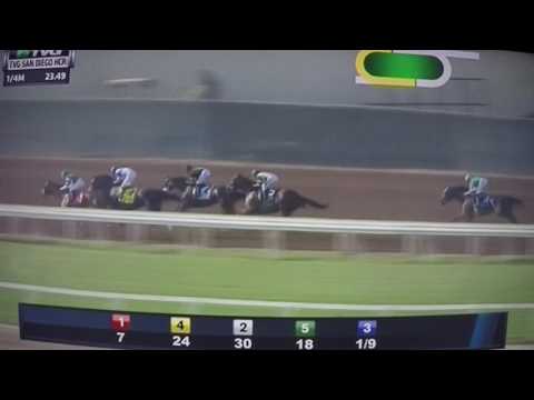 SAN DIEGO H, (G STAKES) $300,000 2017 - ACCELERATE !!!