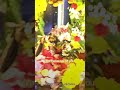 Sri Rukmini Krishna Jhulan ISKCON Los Angeles Youtubeshorts Shorts Shrikrishna Iskcontemple