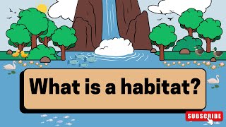 what is a habitat for kids | what is a habitat grade 4 | animal habitat project