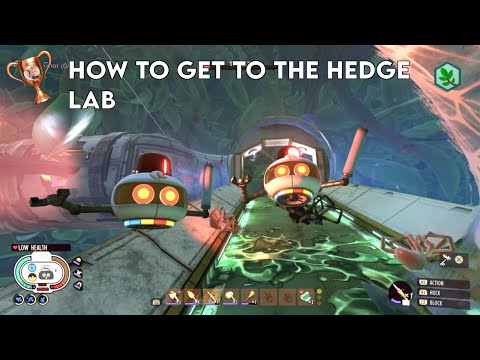 Grounded | The Hedge Lab Guide