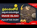 అమ్మో అన్ని వేల పాములా ప్రపంచంలోనే భ�