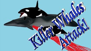 🐳 Killer Whales are Whale Killers 🐋