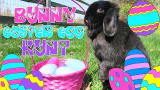 Bunny Easter Egg Hunt! | Crazy8Family