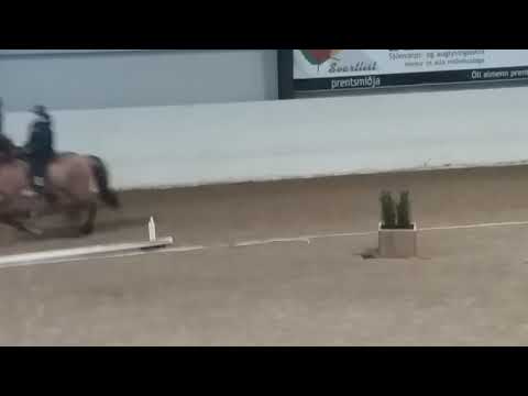 Sýn frá Hábæ 1.sæti barnaflokkur vetrarmót Geysis