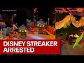 'It's a Small World' Disneyland streaker arrested