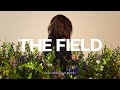 The Field 