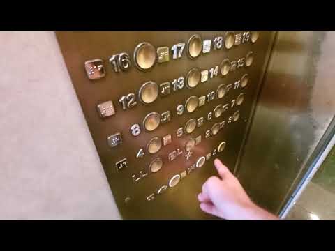 AWESOME Rare Scenic Otis Touch Sensitive Series 3 Elevator at the Westgate in Las Vegas, NV