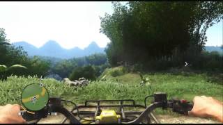 Far Cry 3 Randomness