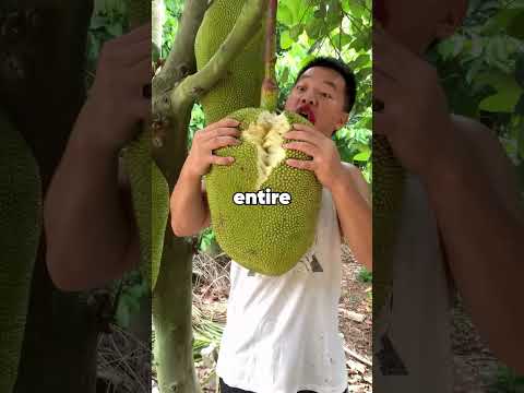 My father was blind his entire life, but the moment he died, he looked at me.