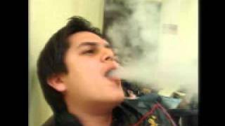REGULO CARO - DINERO POR SANGRE 2011