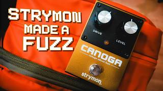 Video thumbnail for Strymon Canoga First Impressions | I Didn’t Expect This… by Jason Mays