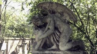 MOLDEN RESETARITS SOYKA WIRTH: SANKT MARX (Official Video)