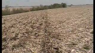 preview picture of video 'WAKO BIG COUNTRY Vertical Tillage'