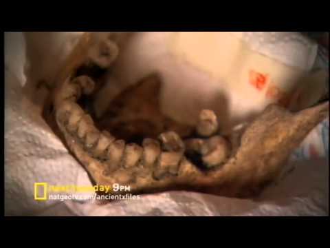 Sky1 HD Continuity & Trailers - 24 April, 2012