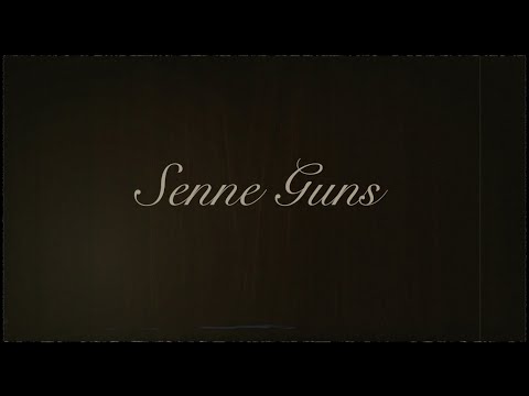 Senne Guns - Beloftes