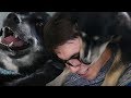 DNA TESTING MY DOGS