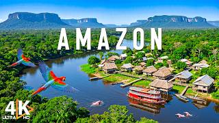 Amazon 4K 🌿 Into the Rainforest, Wild Rivers & Untouched Jungle Landscapes