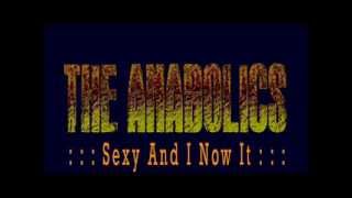 The Anabolics - Sexy And I Know It (LIVE cover)