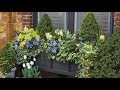 🌱Windowbox Tips from Linda Vater🌱