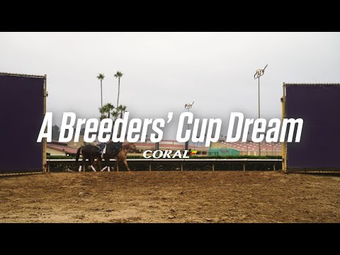 A Breeders' Cup Dream: Episode 3 - Hello America