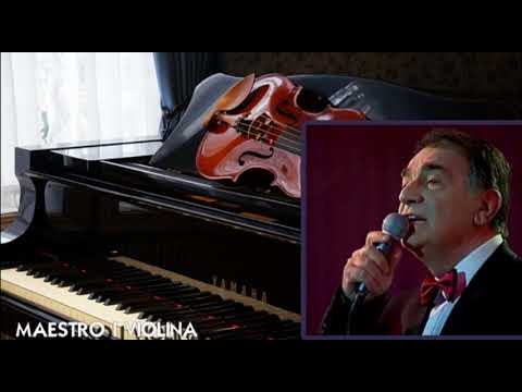 Dragan Stojnic - Maestro i violina