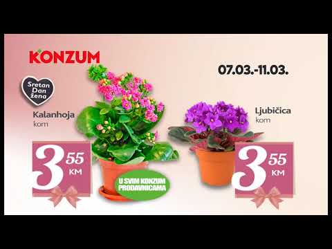 Neodoljiva ponuda za Dan žena u Konzumu! 07.-08.03.2018.