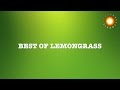 Best of Lemongrass - Lounge | Chillout | Ambient Compilation