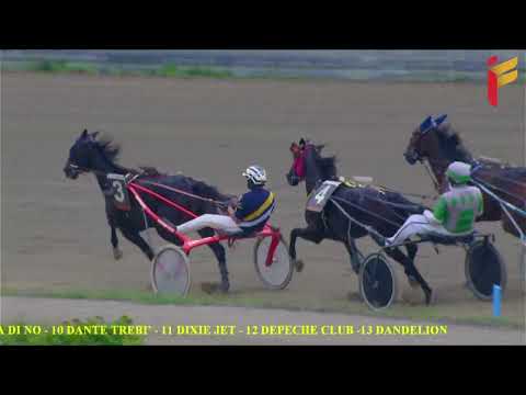 VIII corsa del 12 ottobre 2022 - 4 Anni Femmine - Metri 1600 - Gentlemen