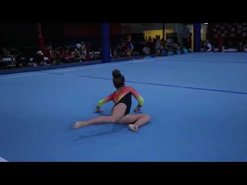 Kaylee Ossman 2nd Floor Olympic Dreams Invite 2017 Wildfire Gymnast Level 4