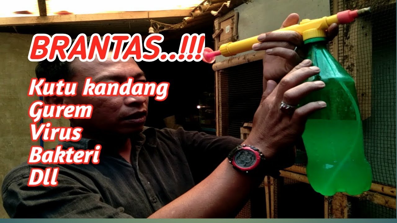 Semprot Kutu Kandang Burung