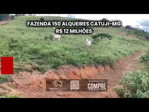 FAZENDA 150 ALQUEIRES CATUJI-MG R$ 12 MILHÕES 