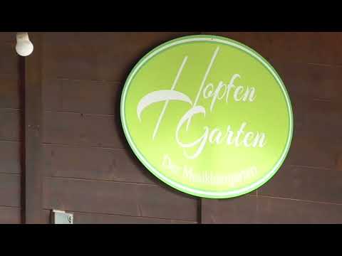 Teddy und die Lollipops 2023 im Hopfengarten - Pledging My Love