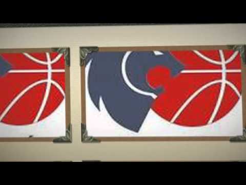 AYUDAS LATERALES DEFENSIVAS DE BREOGAN