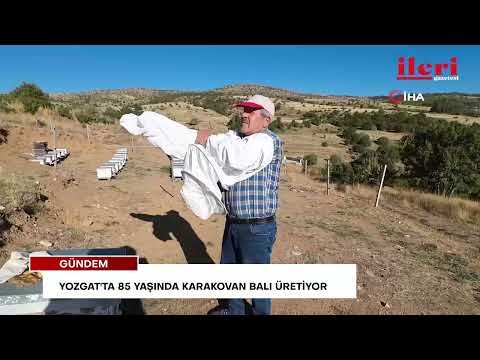 Yozgat'ta 85 yaşında karakovan balı üretiyor | İleri Gazetesi