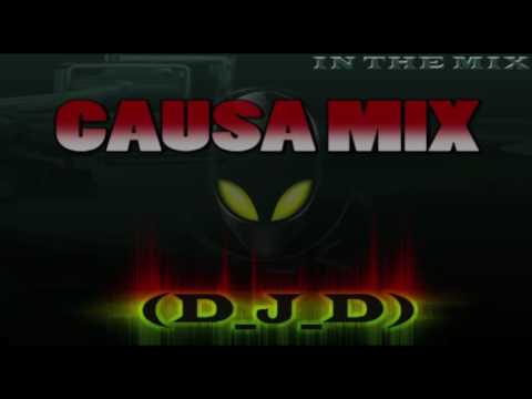 Causa Mix By D J D