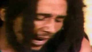 ♫ ♕ Bob Marley ♕ Coming In From The Cold Acustic 1980 HD ♫