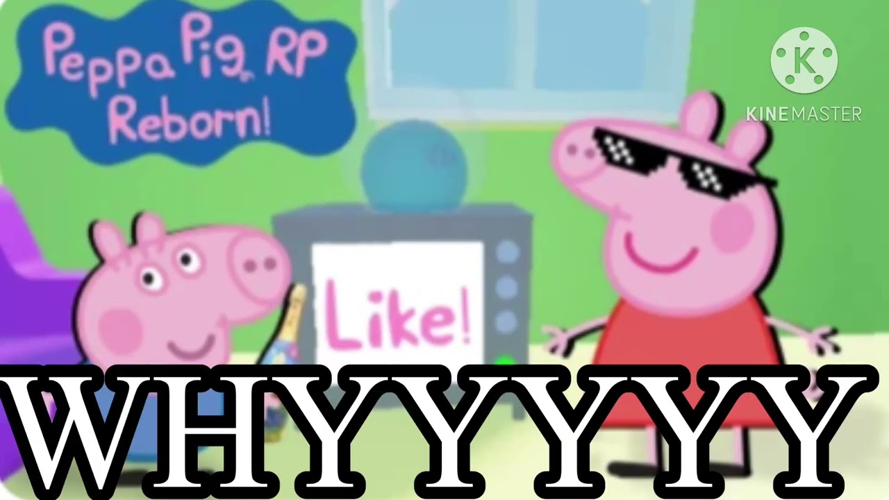 WHYYYYYy Wonderland wiki fandom