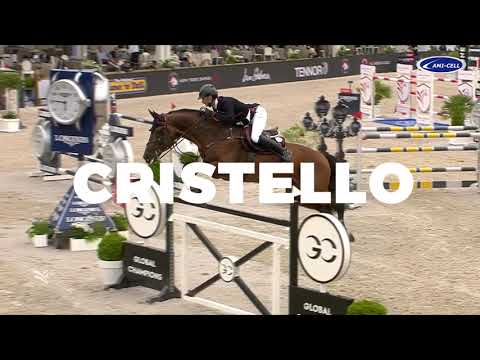 Horse of the Week: Paris | Cristello