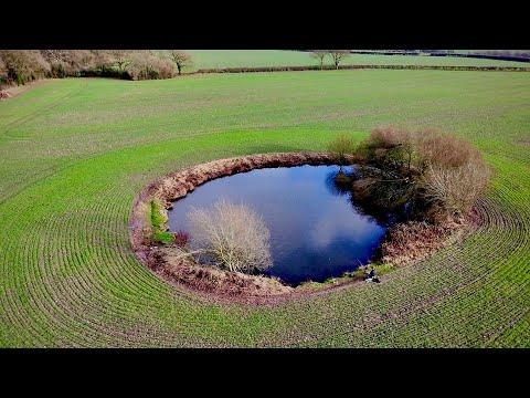 Carp Fishing A Pond In A Field With Maggots...