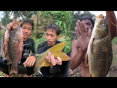 SE03EP148 - The GOLDEN CARP | BUNTOT PALANG... at ang MANGROVE SNAPPER sa TABANG | San Juan Batangas