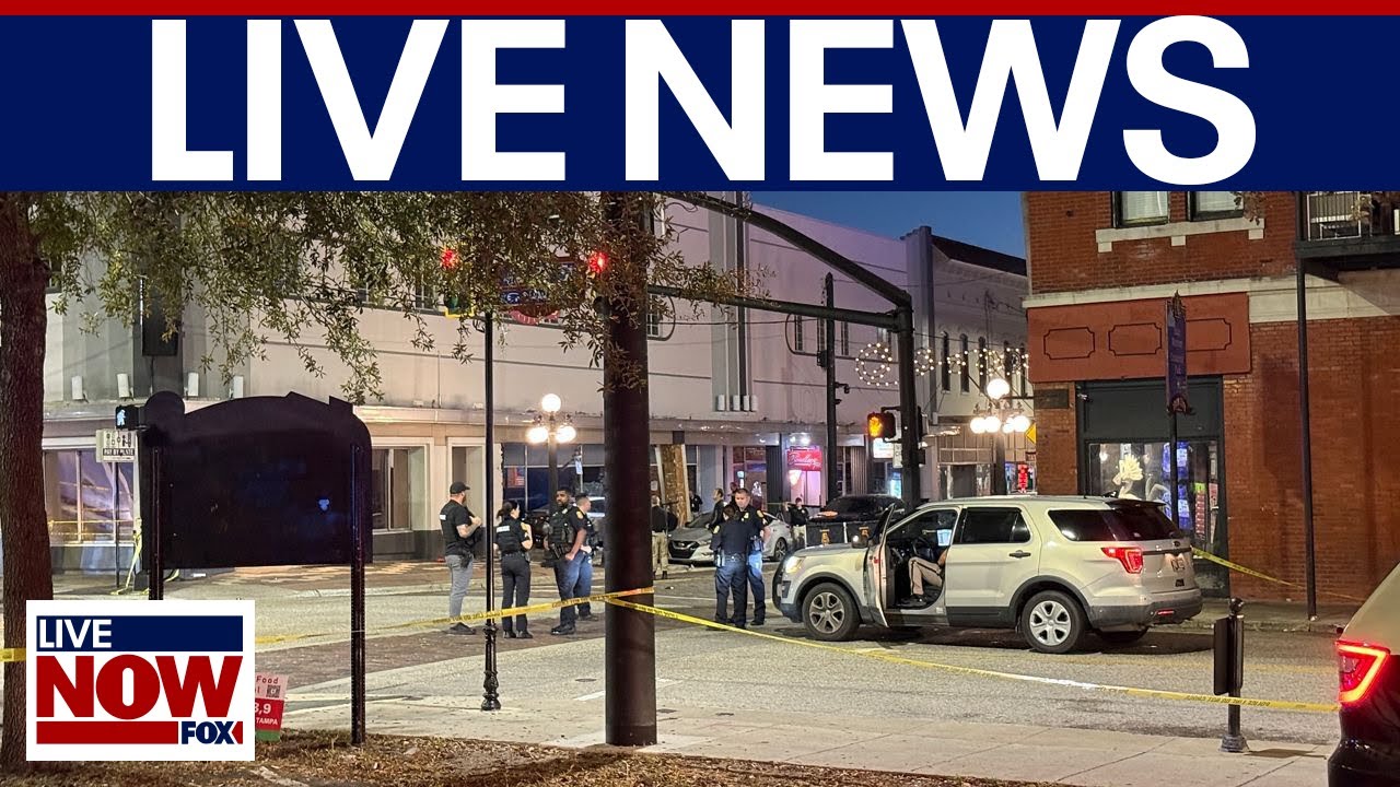 LIVE NEWS: 4 killed after car rams crowd, Government shutdown day 39, SNAP updates & more
