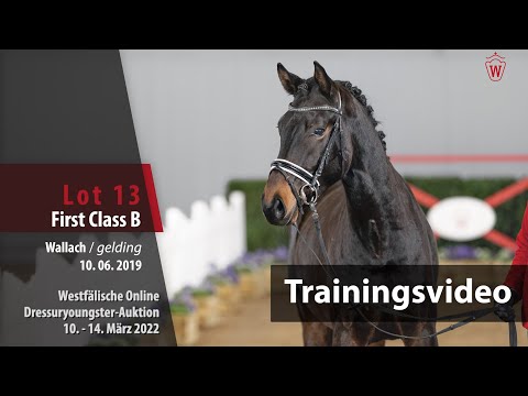 Dressuryoungster-Auktion Trainng Lot 13 First Class B Wallach v. Follow Him's Schönweide - Davis Cup
