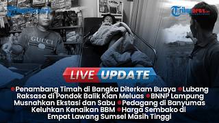 LIVE UPDATE SORE: Wanita Tak Sadarkan Diri seusai Kenalan dengan Pria, Penambang Diterkam Buaya