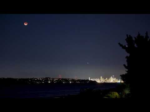 Beatsofreen - Moonlight