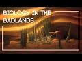 Exploring Life Within An Alien Slot Canyon The Isla Project Episode 7