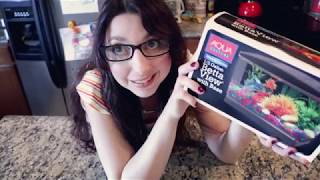 Betta Fish Tank Review Half Gallon Tank By Aqua Culture Tuesday Tank Reviews