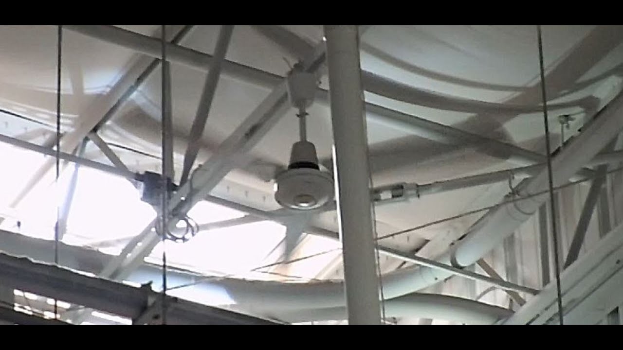 Industrial Ceiling Fans at Costco