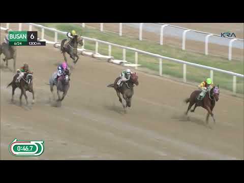 (Busan) 24.06.2022 R6 Ssonsal Cheoreom schafft zwei von vier